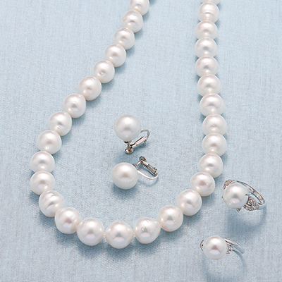 白蝶貝のシルバーリップから採れる真珠